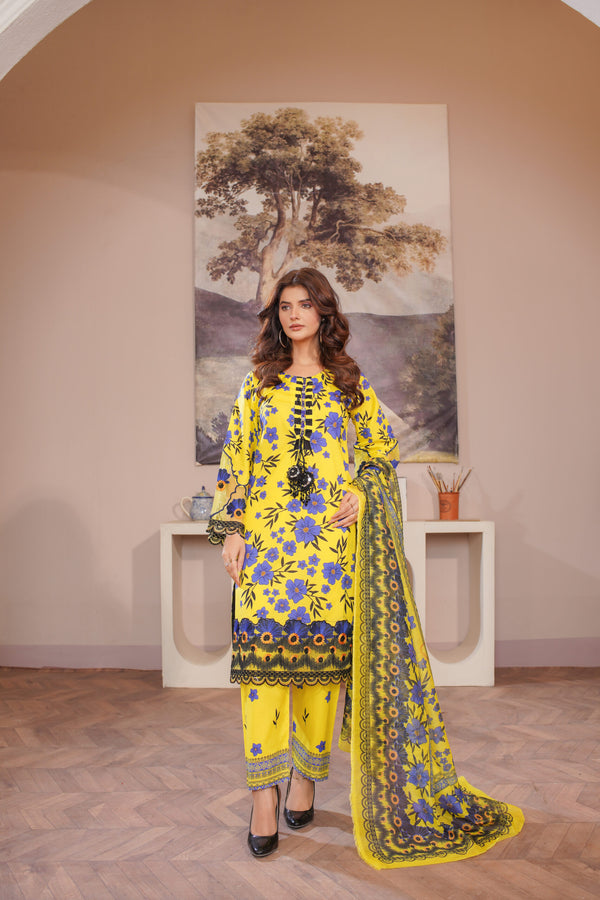 Summer Lawn – Dil-e-Naz